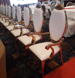 VIP Chair