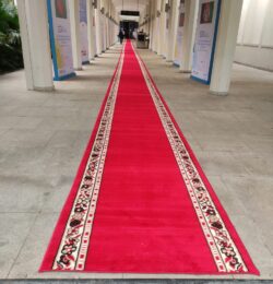 VIP Red Carpet